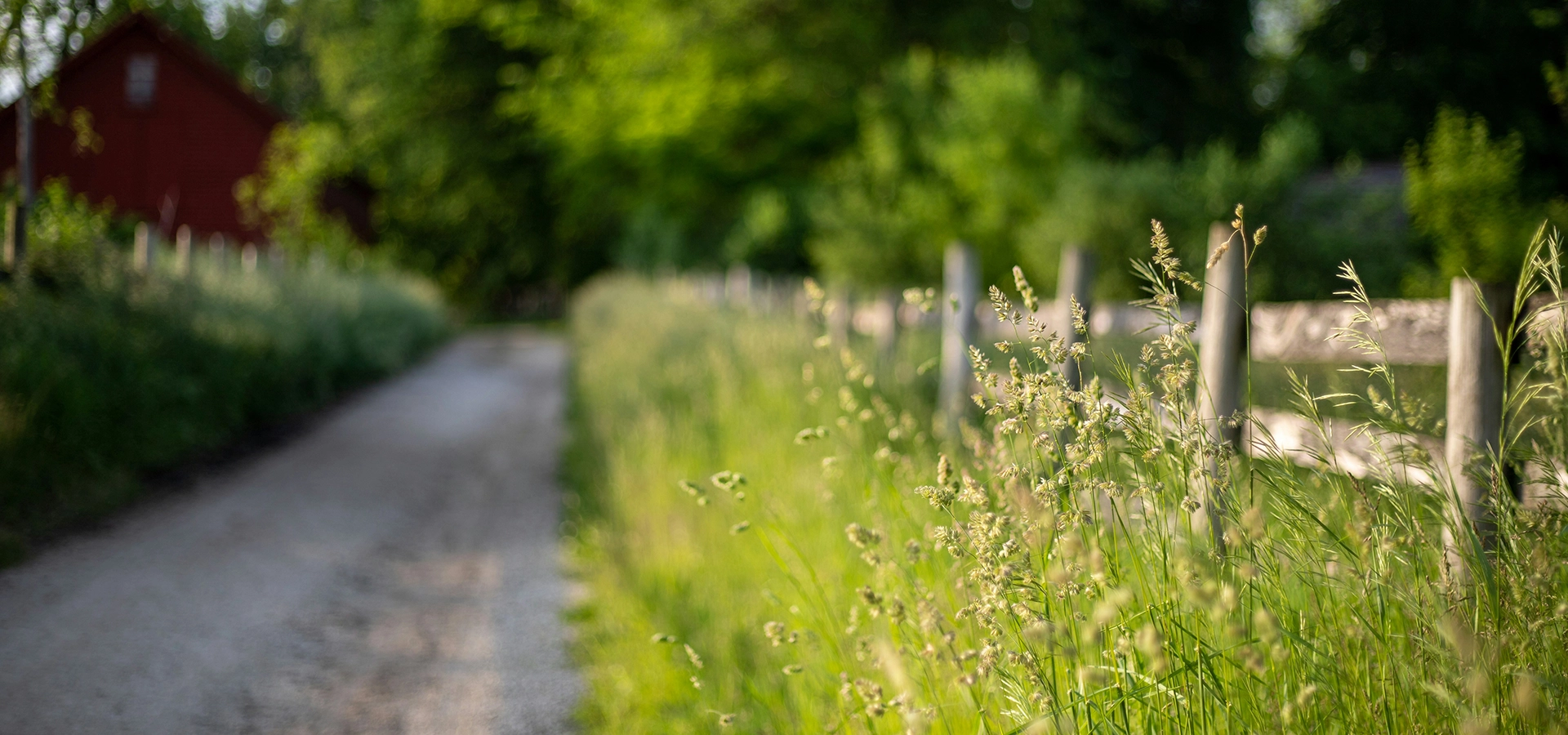 Restaurant autour de Beaune : La Ferme de la Ruchotte, une adresse incontournable !